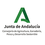 Junta de Andalucía 26